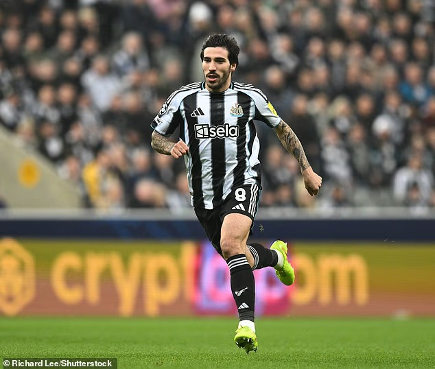 image-486 Résoudre l'énigme Nick Woltemade à Newcastle : pourquoi les Magpies ont besoin de plus que des buts de l'attaquant, le coéquipier qui détient la clé pour révéler le meilleur de ce joueur à 69 millions de livres et l'avis d'un expert sur le prochain choix d'Eddie Howe